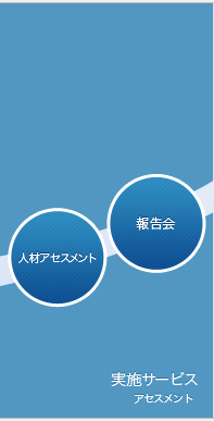 実施サービス アセスメント 人材アセスメント 報告会