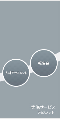 実施サービス アセスメント 人材アセスメント 報告会